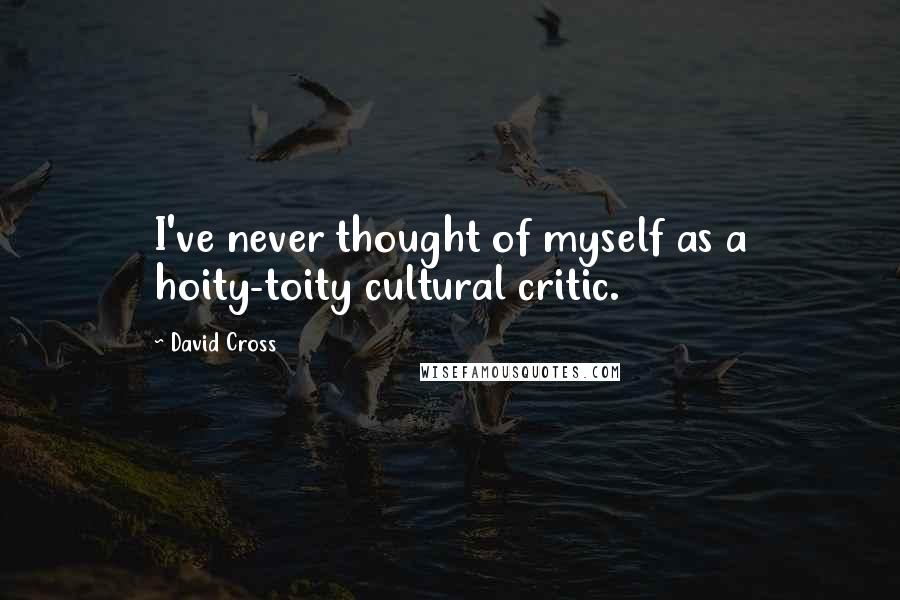 David Cross quotes: I've never thought of myself as a hoity-toity cultural critic.