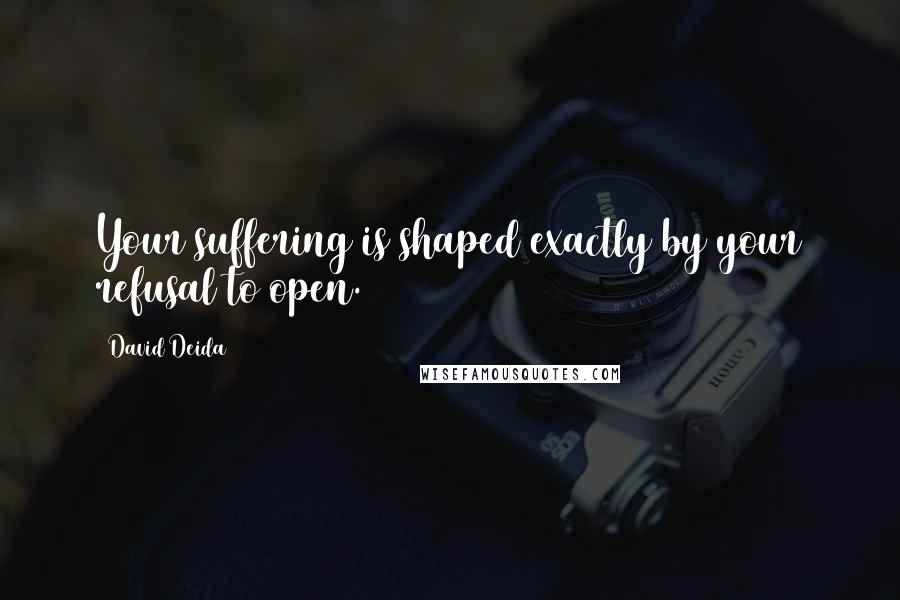 David Deida quotes: Your suffering is shaped exactly by your refusal to open.