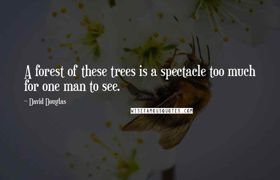 David Douglas quotes: A forest of these trees is a spectacle too much for one man to see.