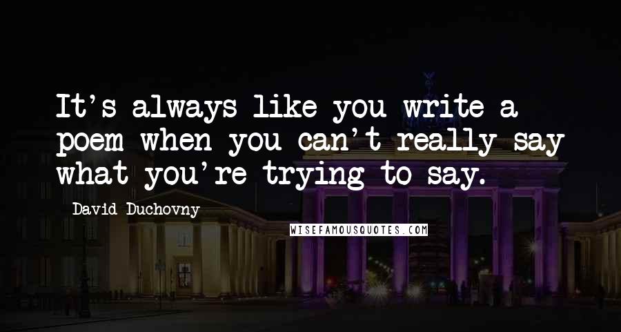 David Duchovny quotes: It's always like you write a poem when you can't really say what you're trying to say.