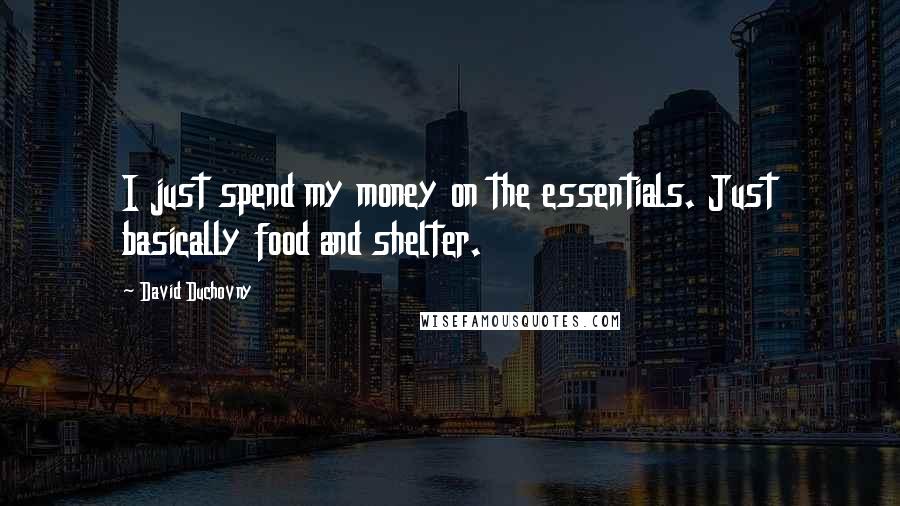 David Duchovny quotes: I just spend my money on the essentials. Just basically food and shelter.