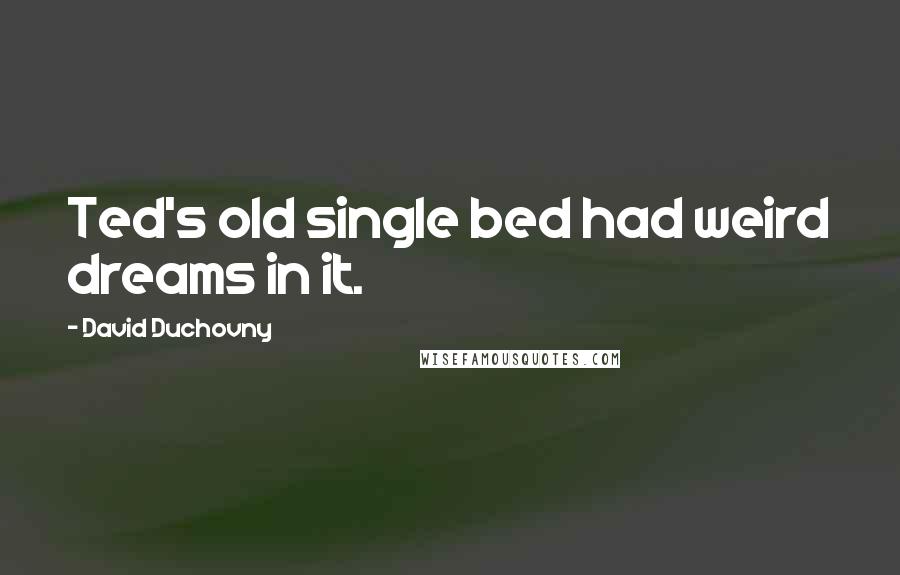 David Duchovny quotes: Ted's old single bed had weird dreams in it.