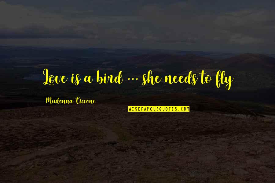 David Duffield Quotes By Madonna Ciccone: Love is a bird ... she needs to