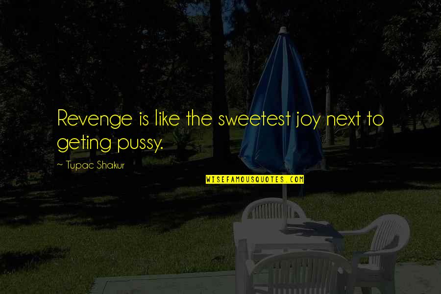 David Dunham Quotes By Tupac Shakur: Revenge is like the sweetest joy next to
