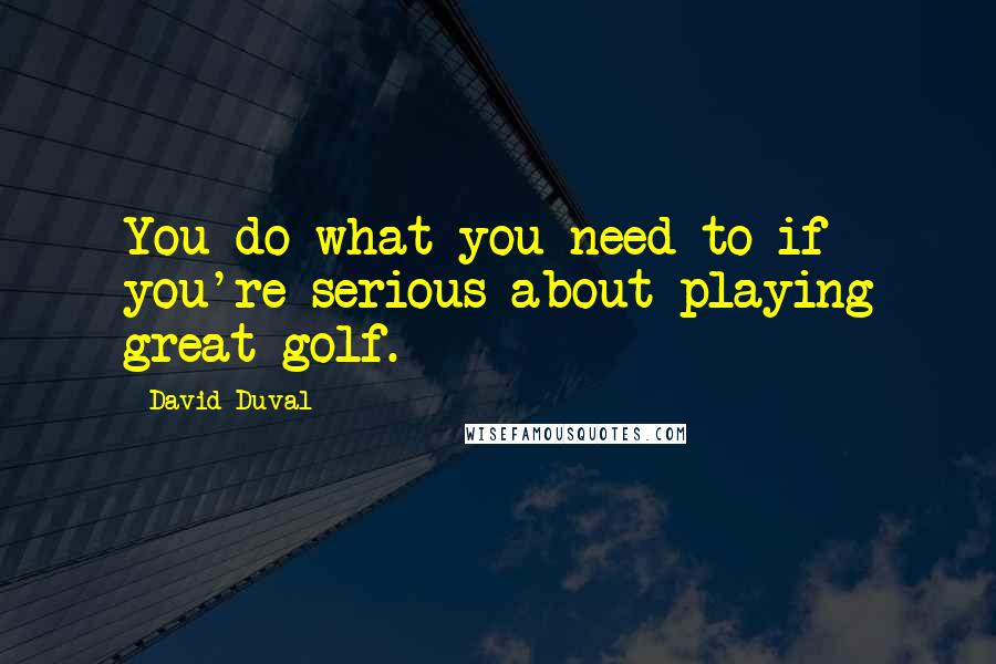 David Duval quotes: You do what you need to if you're serious about playing great golf.