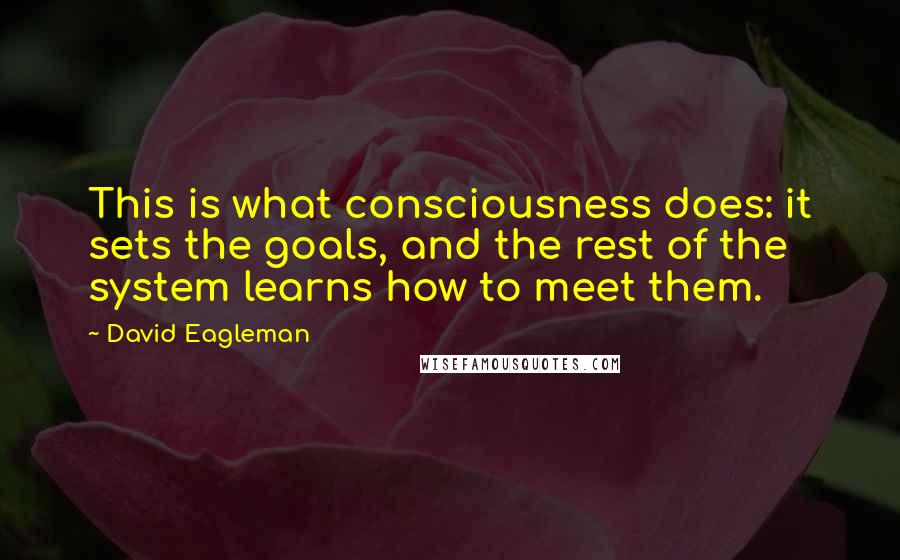 David Eagleman quotes: This is what consciousness does: it sets the goals, and the rest of the system learns how to meet them. David Eagleman quotes: This is what consciousness does: it sets the goals, and the rest of the system learns how to meet them.