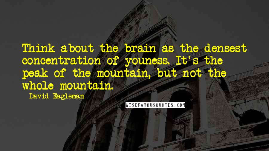 David Eagleman quotes: Think about the brain as the densest concentration of youness. It's the peak of the mountain, but not the whole mountain. David Eagleman quotes: Think about the brain as the densest concentration of youness. It's the peak of the mountain, but not the whole mountain.