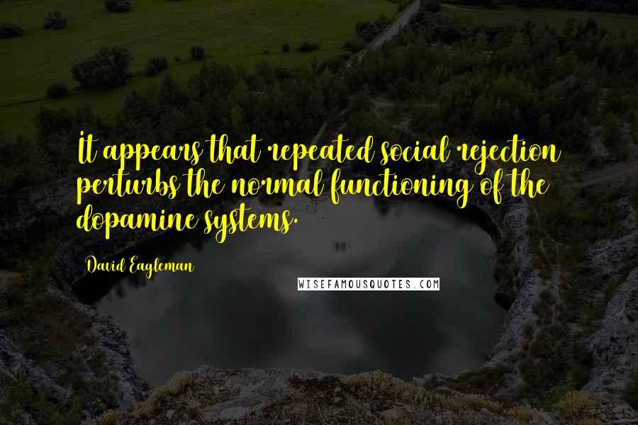 David Eagleman quotes: It appears that repeated social rejection perturbs the normal functioning of the dopamine systems.