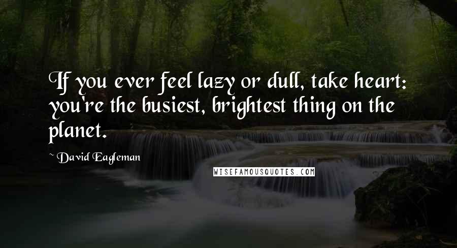 David Eagleman quotes: If you ever feel lazy or dull, take heart: you're the busiest, brightest thing on the planet.