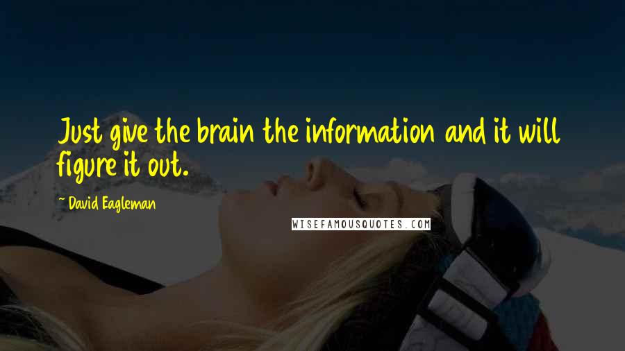 David Eagleman quotes: Just give the brain the information and it will figure it out.