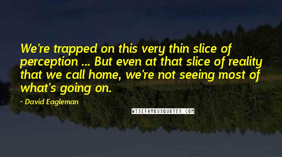 David Eagleman quotes: We're trapped on this very thin slice of perception ... But even at that slice of reality that we call home, we're not seeing most of what's going on. David Eagleman quotes: We're trapped on this very thin slice of perception ... But even at that slice of reality that we call home, we're not seeing most of what's going on.