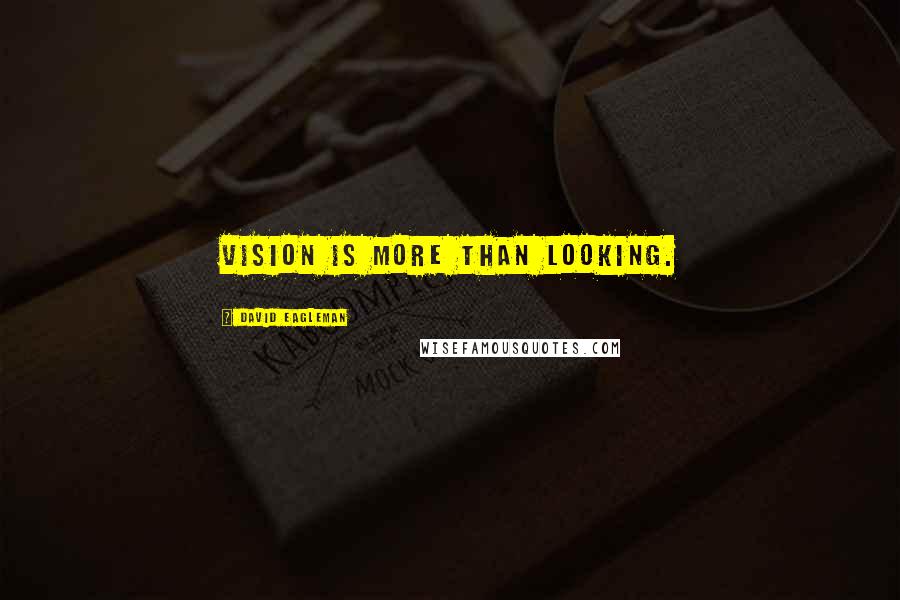 David Eagleman quotes: Vision is more than looking.