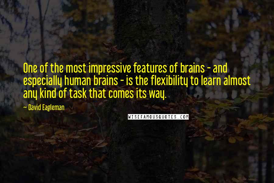 David Eagleman quotes: One of the most impressive features of brains - and especially human brains - is the flexibility to learn almost any kind of task that comes its way. David Eagleman quotes: One of the most impressive features of brains - and especially human brains - is the flexibility to learn almost any kind of task that comes its way.