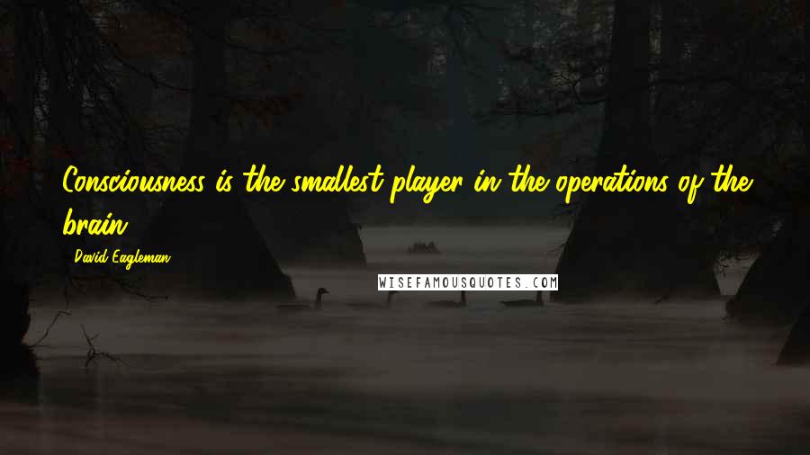 David Eagleman quotes: Consciousness is the smallest player in the operations of the brain.