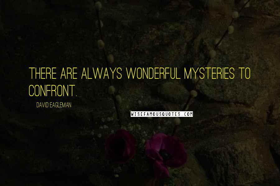 David Eagleman quotes: There are always wonderful mysteries to confront.