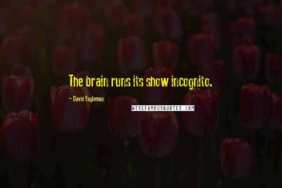 David Eagleman quotes: The brain runs its show incognito.