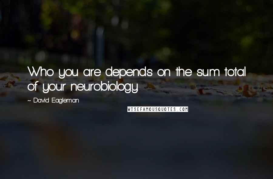 David Eagleman quotes: Who you are depends on the sum total of your neurobiology.