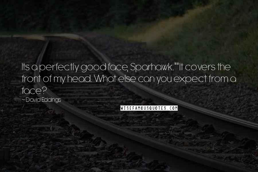 David Eddings quotes: Its a perfectly good face, Sparhawk.""It covers the front of my head. What else can you expect from a face?