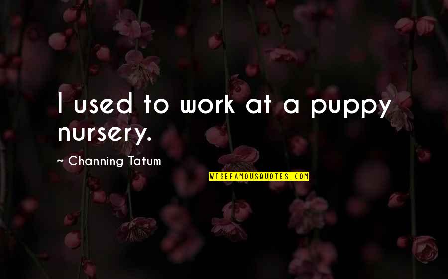 David Elazar Quotes By Channing Tatum: I used to work at a puppy nursery. David Elazar Quotes By Channing Tatum: I used to work at a puppy nursery.