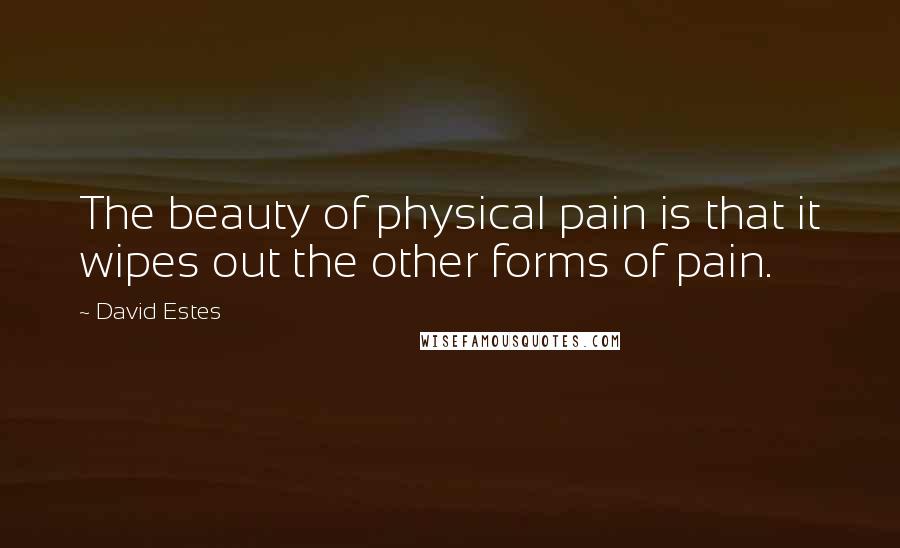 David Estes quotes: The beauty of physical pain is that it wipes out the other forms of pain.