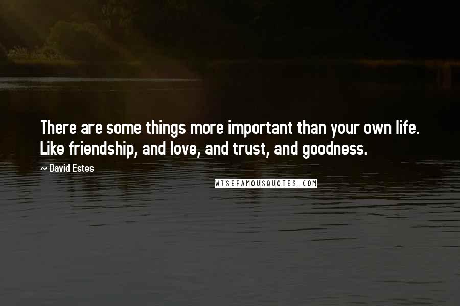 David Estes quotes: There are some things more important than your own life. Like friendship, and love, and trust, and goodness.