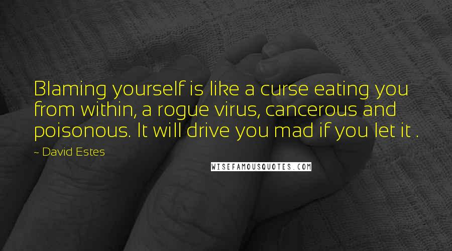 David Estes quotes: Blaming yourself is like a curse eating you from within, a rogue virus, cancerous and poisonous. It will drive you mad if you let it .