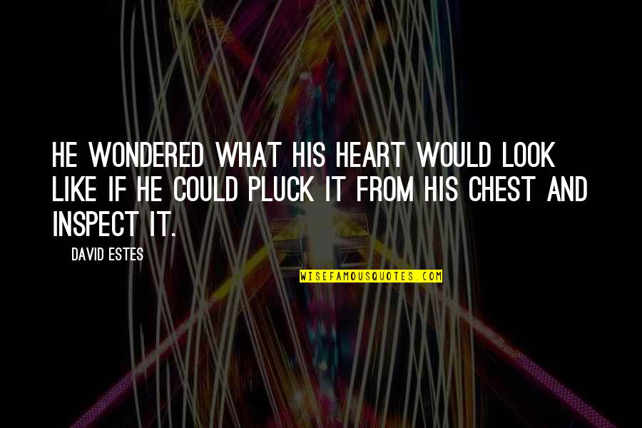 David Estes Quotes By David Estes: He wondered what his heart would look like