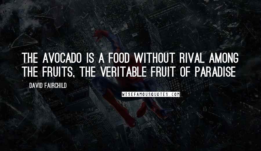 David Fairchild quotes: The avocado is a food without rival among the fruits, the veritable fruit of paradise