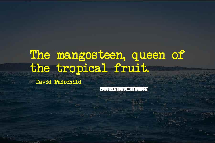 David Fairchild quotes: The mangosteen, queen of the tropical fruit.