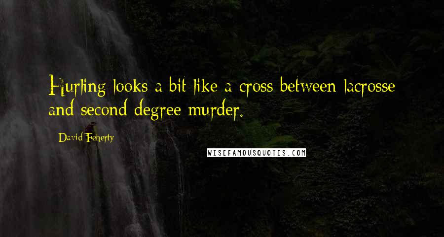 David Feherty quotes: Hurling looks a bit like a cross between lacrosse and second degree murder.