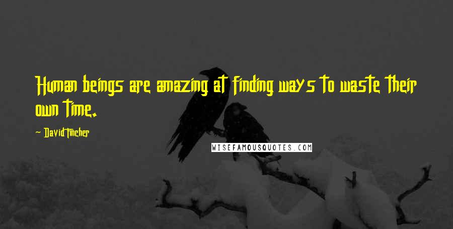 David Fincher quotes: Human beings are amazing at finding ways to waste their own time.