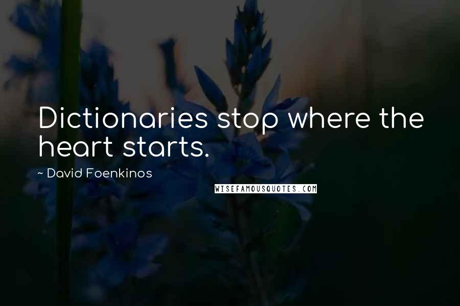 David Foenkinos quotes: Dictionaries stop where the heart starts.