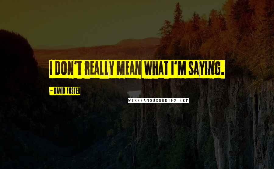 David Foster quotes: I don't really mean what I'm saying.