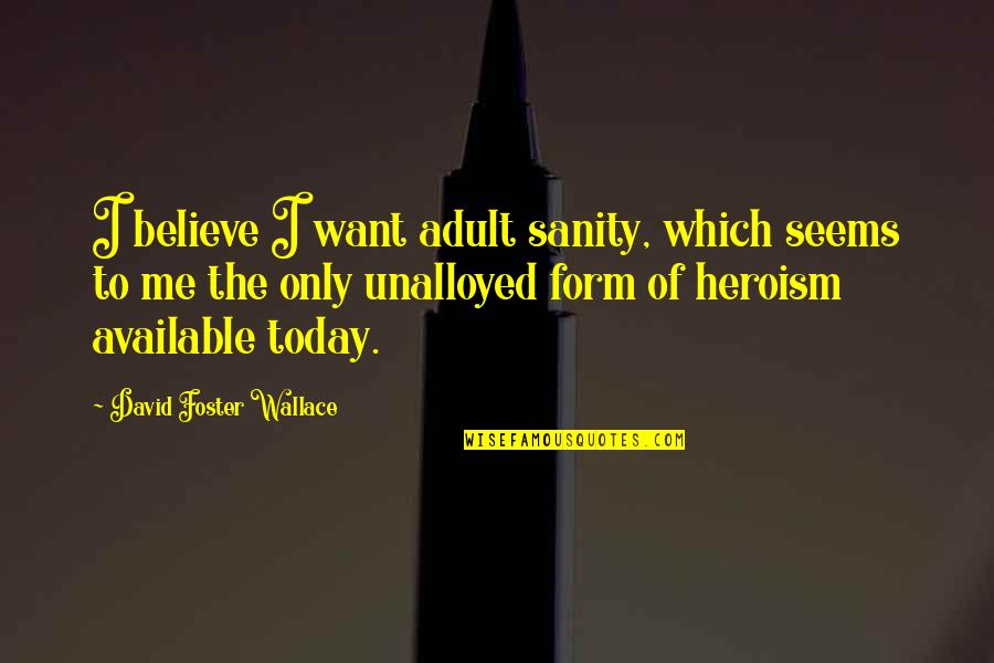 David Foster Quotes By David Foster Wallace: I believe I want adult sanity, which seems