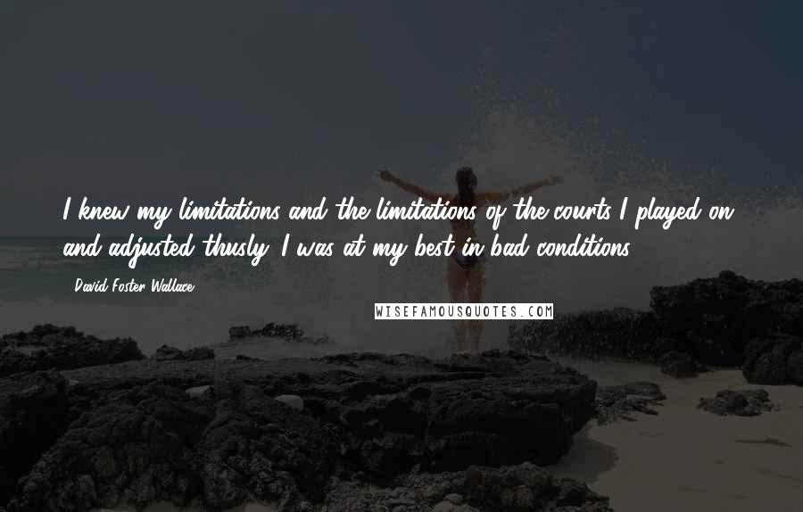 David Foster Wallace quotes: I knew my limitations and the limitations of the courts I played on, and adjusted thusly. I was at my best in bad conditions.