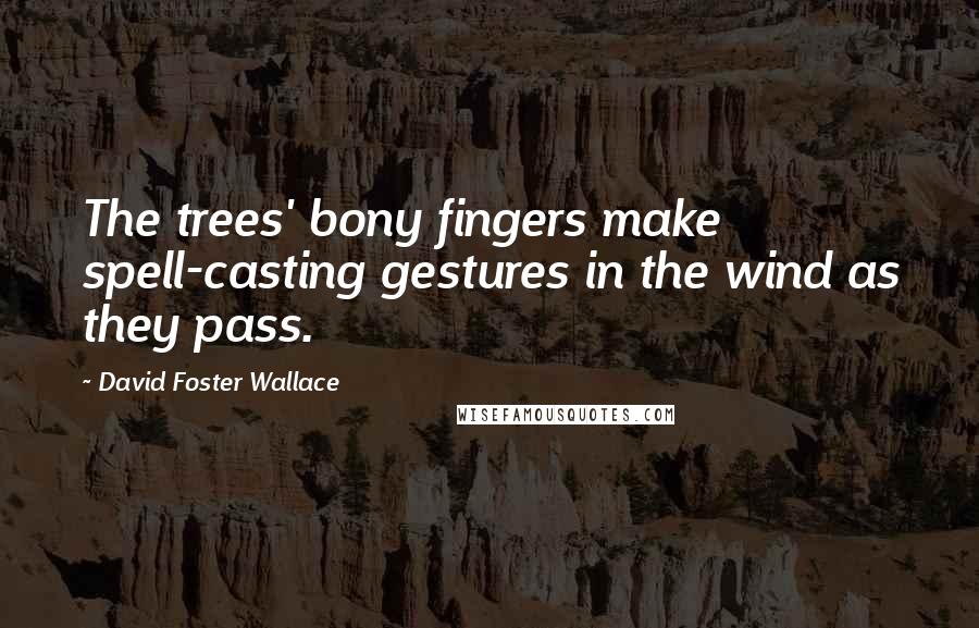 David Foster Wallace quotes: The trees' bony fingers make spell-casting gestures in the wind as they pass.