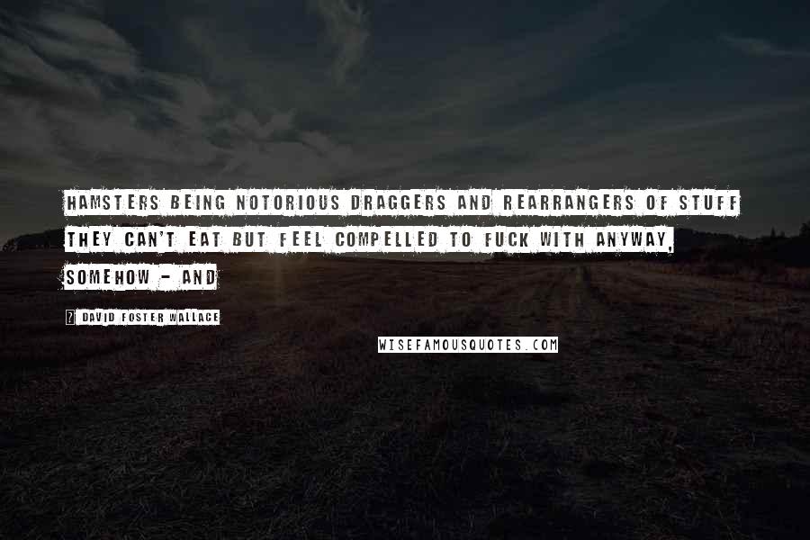 David Foster Wallace quotes: Hamsters being notorious draggers and rearrangers of stuff they can't eat but feel compelled to fuck with anyway, somehow - and