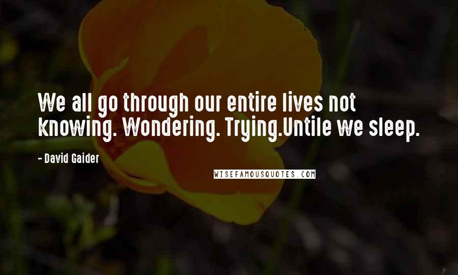 David Gaider quotes: We all go through our entire lives not knowing. Wondering. Trying.Untile we sleep.