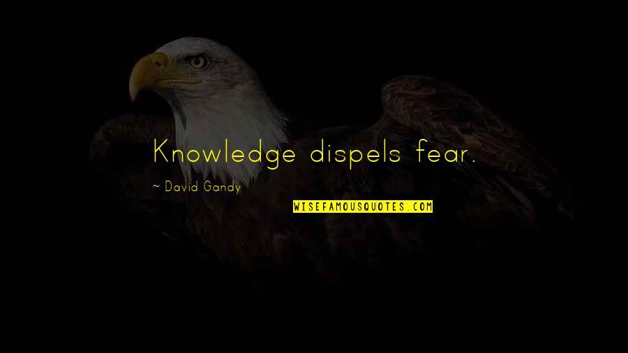 David Gandy Quotes By David Gandy: Knowledge dispels fear.