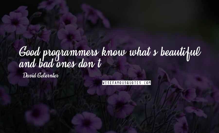 David Gelernter quotes: Good programmers know what's beautiful and bad ones don't.