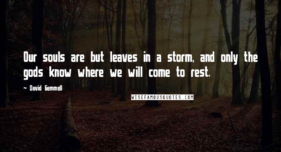 David Gemmell quotes: Our souls are but leaves in a storm, and only the gods know where we will come to rest.