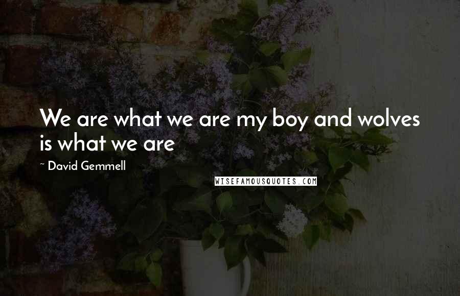 David Gemmell quotes: We are what we are my boy and wolves is what we are