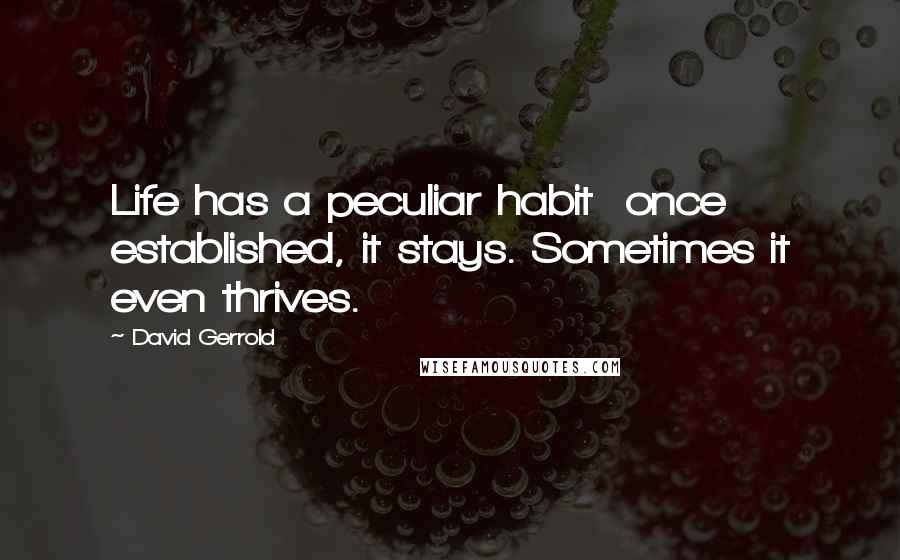 David Gerrold quotes: Life has a peculiar habit once established, it stays. Sometimes it even thrives.