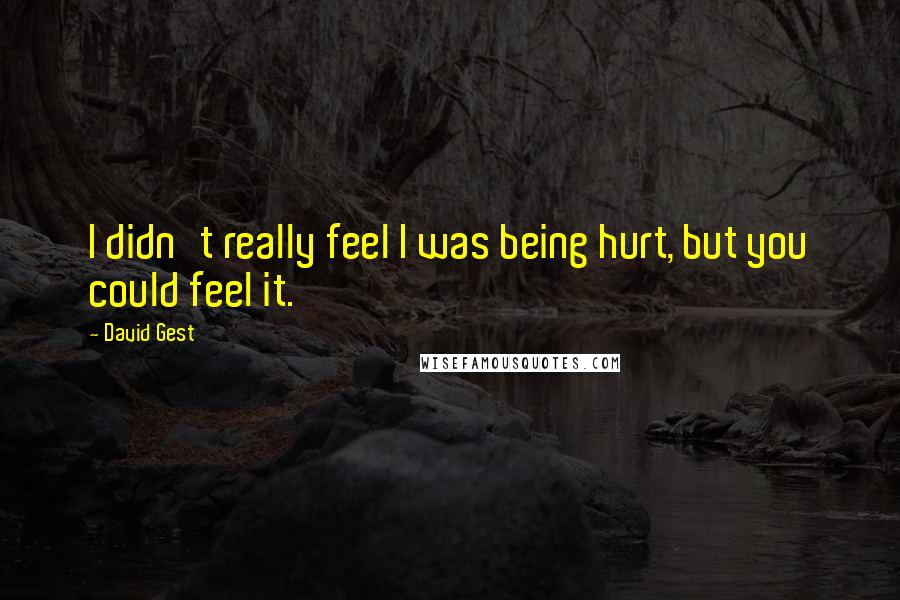 David Gest quotes: I didn't really feel I was being hurt, but you could feel it.