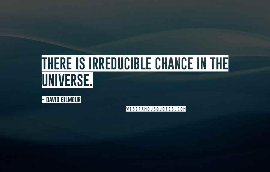 David Gilmour quotes: There is irreducible chance in the universe.