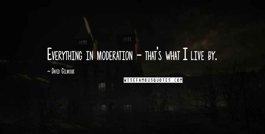 David Gilmour quotes: Everything in moderation - that's what I live by.