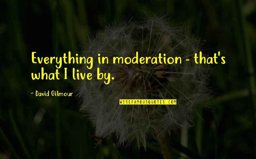 David Gilmour Quotes By David Gilmour: Everything in moderation - that's what I live