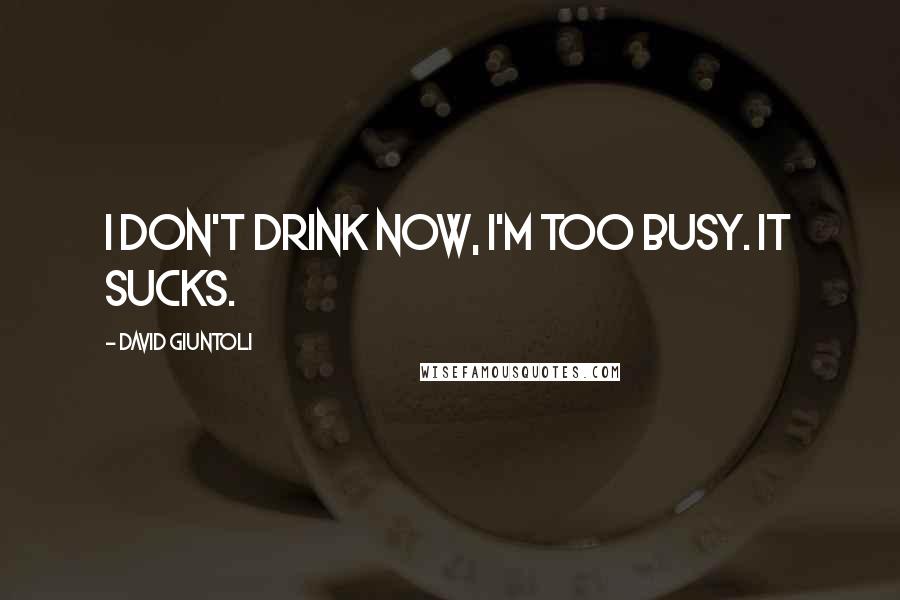 David Giuntoli quotes: I don't drink now, I'm too busy. It sucks.