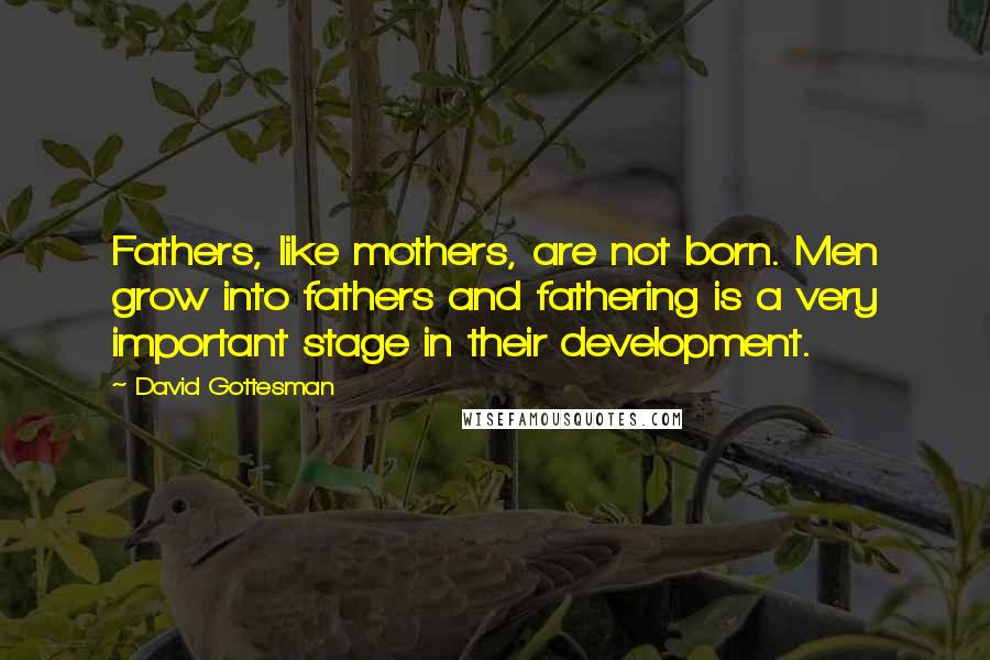 David Gottesman quotes: Fathers, like mothers, are not born. Men grow into fathers and fathering is a very important stage in their development.
