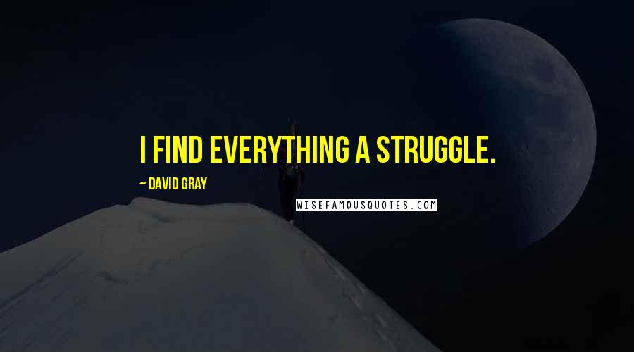 David Gray quotes: I find everything a struggle.